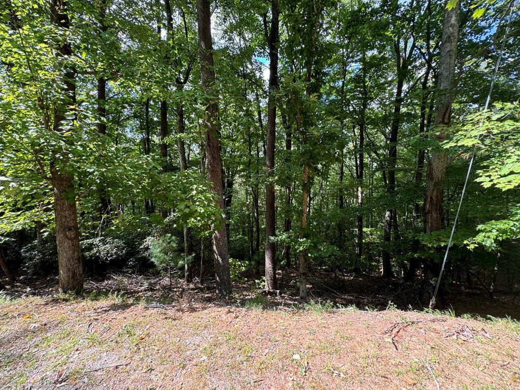 Ellijay, GA 30536,Lot M41 Sleepy Hollow Road