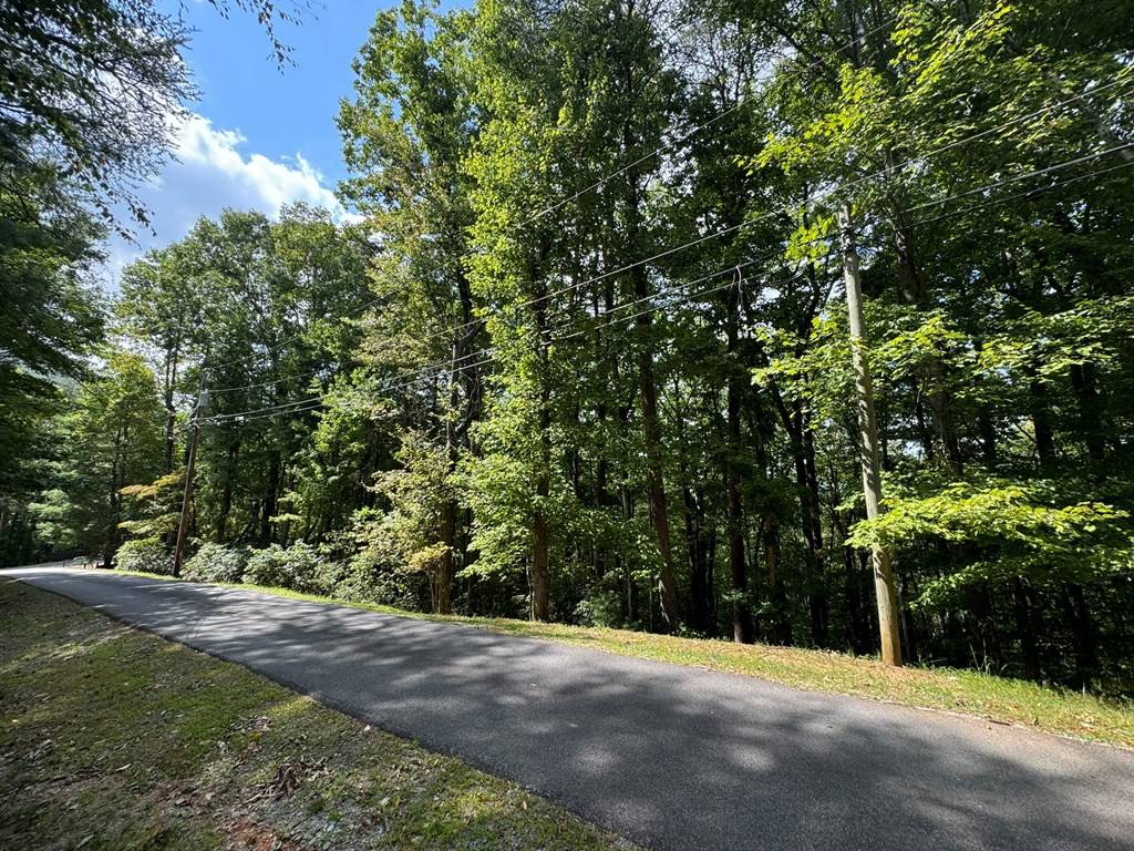 Ellijay, GA 30536,Lot M41 Sleepy Hollow Road