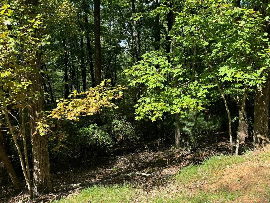 Ellijay, GA 30536,Lot M41 Sleepy Hollow Road