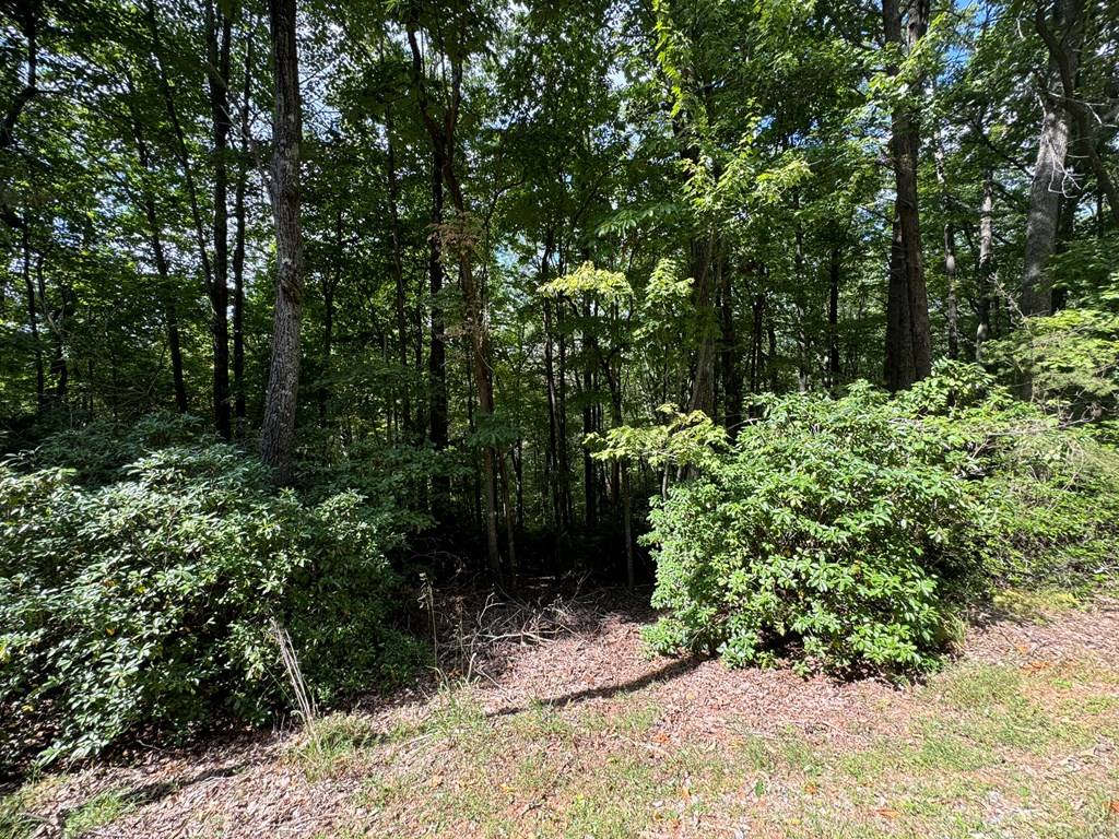 Ellijay, GA 30536,Lot M41 Sleepy Hollow Road