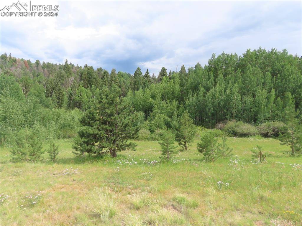 Florissant, CO 80816,488 Hidden Valley DR