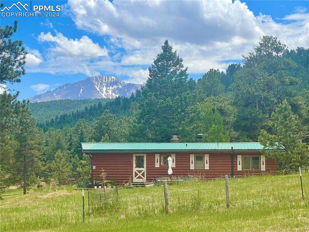 Woodland Park, CO 80863,1617 County Road 21