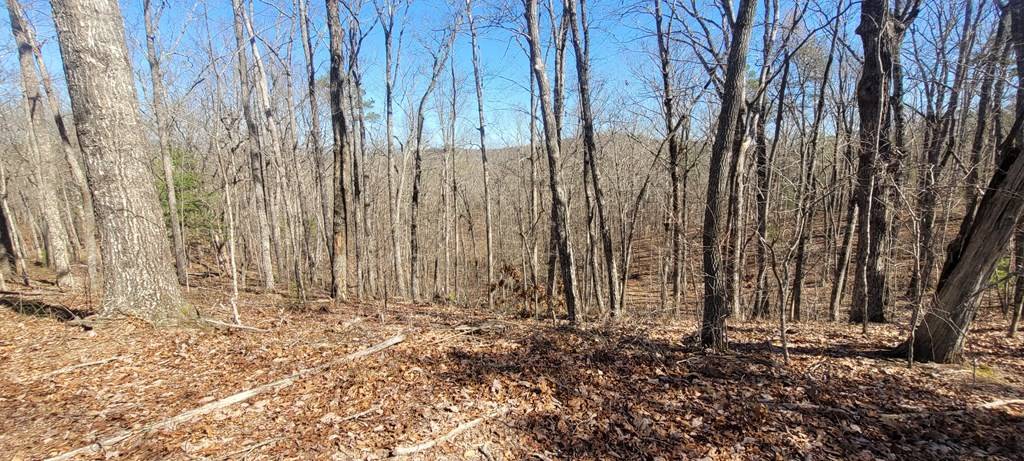 Ellijay, GA 30540,20 acres Mountain Glen Lane