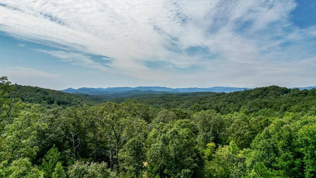 Mineral Bluff, GA 30559,211 Big Timber Road