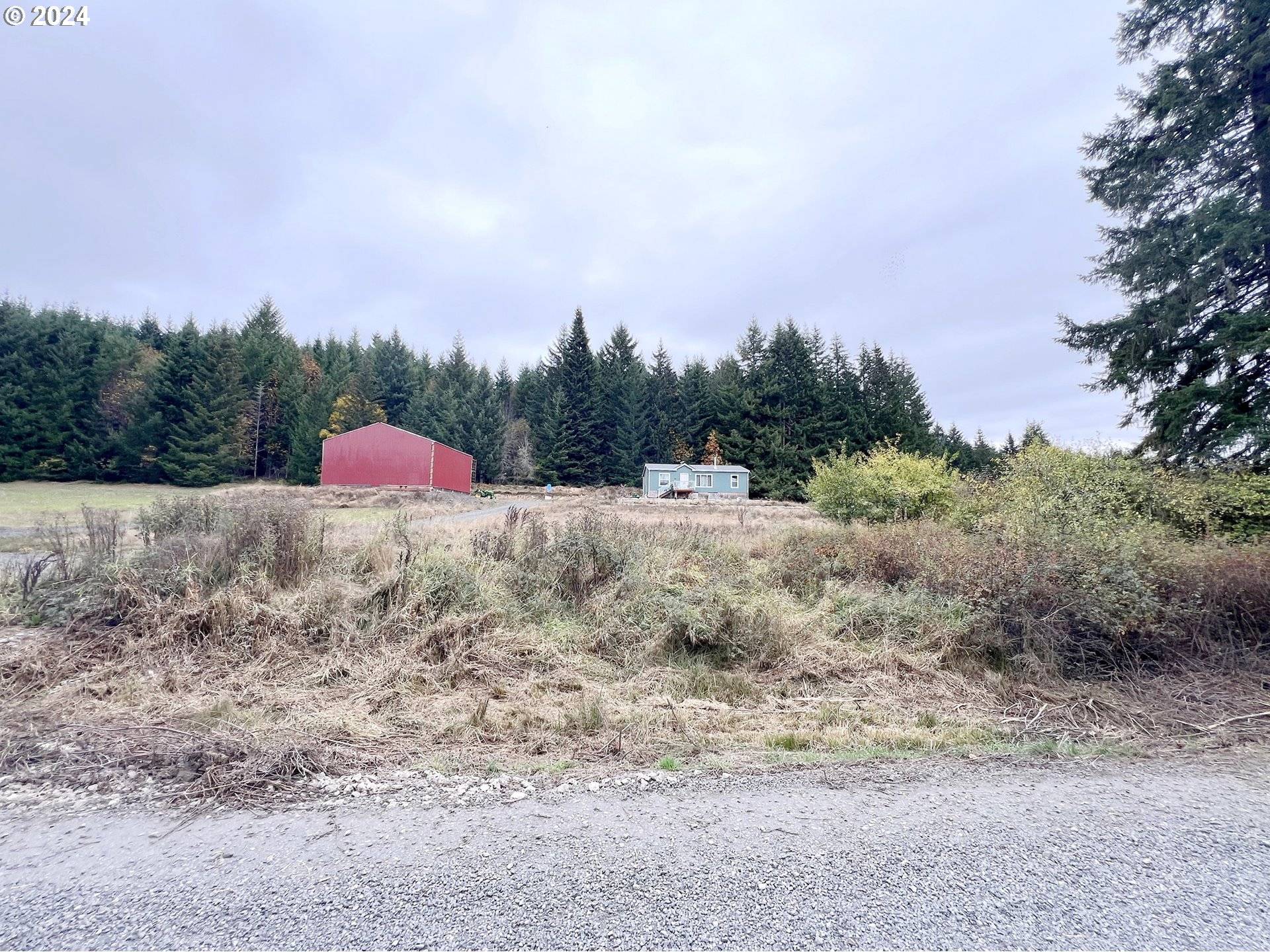 Birkenfeld, OR 97016,67640 NEVERSTILL RD