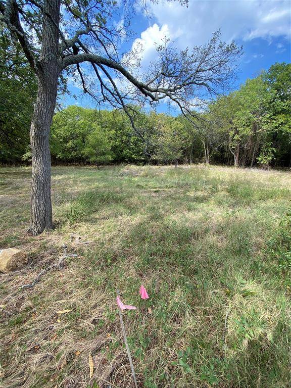 Pottsboro, TX 75076,TBD Riner Lot 61 Road