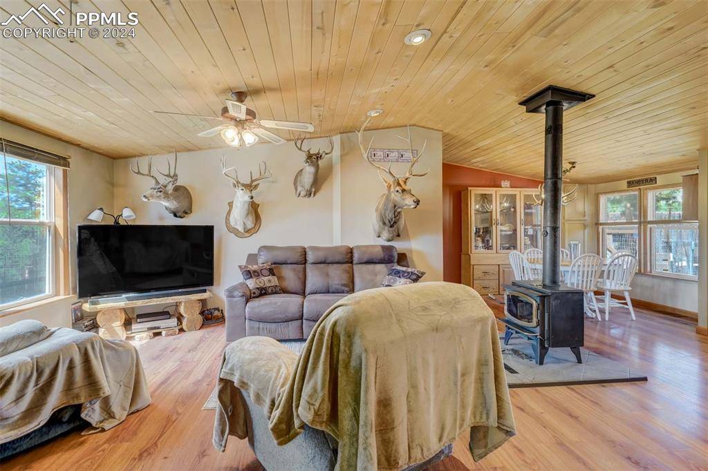 Guffey, CO 80820,100 Hawk LN