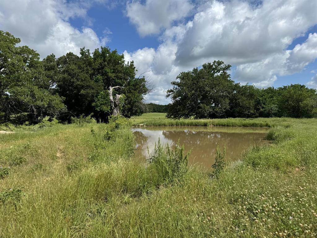 Montague, TX 76251,0000 Allen Road