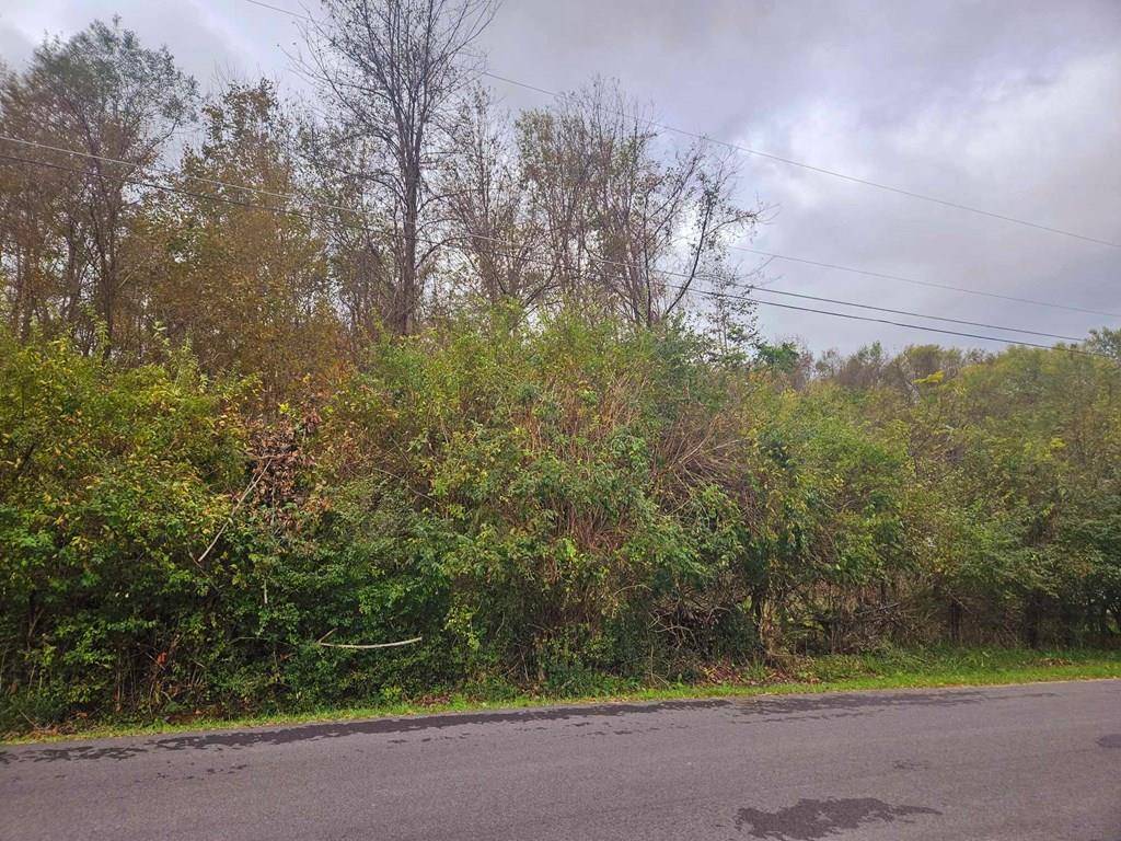 Tazewell, VA 24651,TBD Deer Ridge Trail (#1)