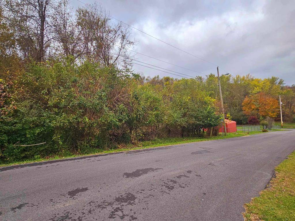 Tazewell, VA 24651,TBD Deer Ridge Trail (#1)