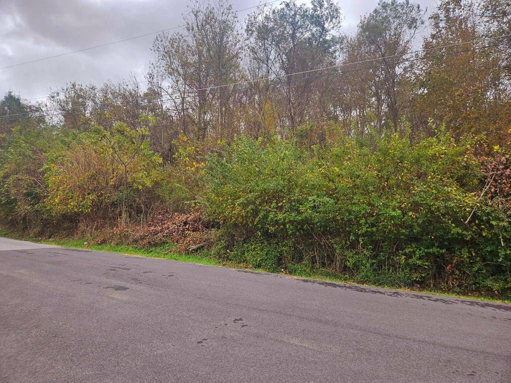 Tazewell, VA 24651,TBD Deer Ridge Trail (#1)