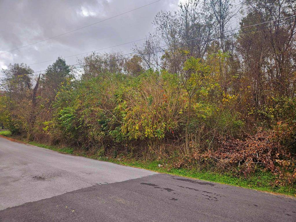 Tazewell, VA 24651,TBD Deer Ridge Trail (#2)