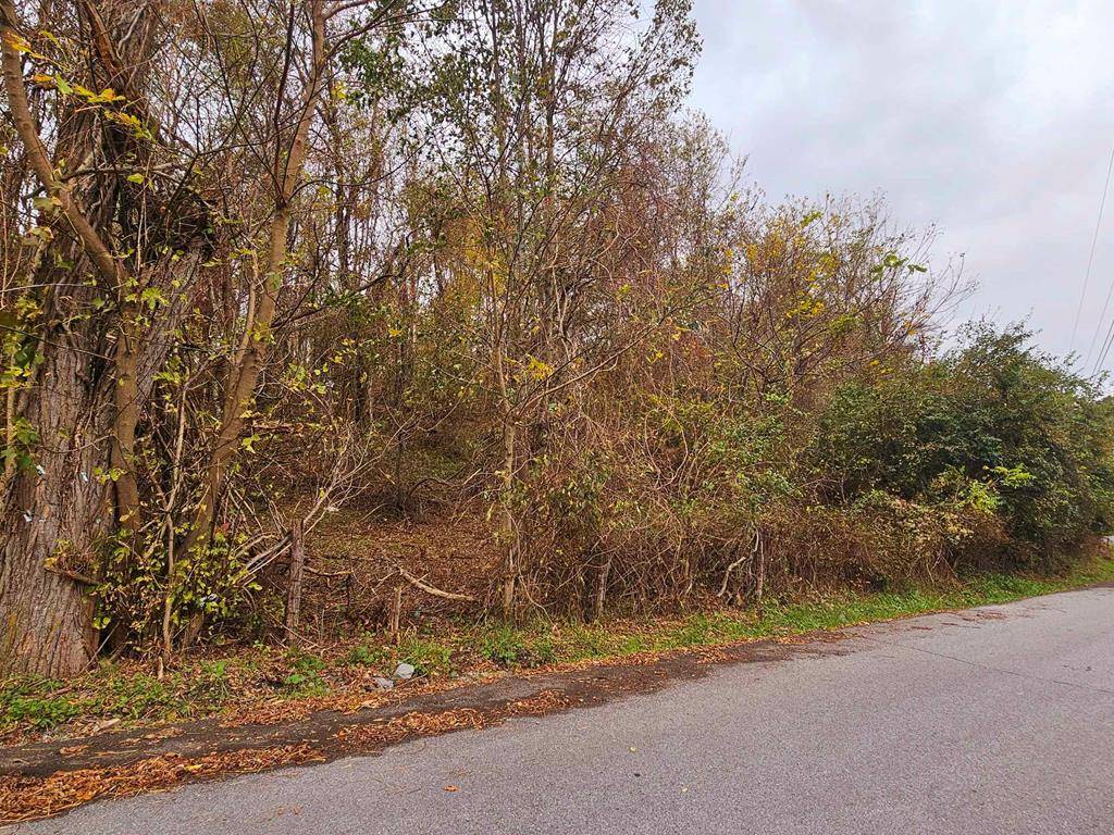 Tazewell, VA 24651,TBD Deer Ridge Trail (#3)