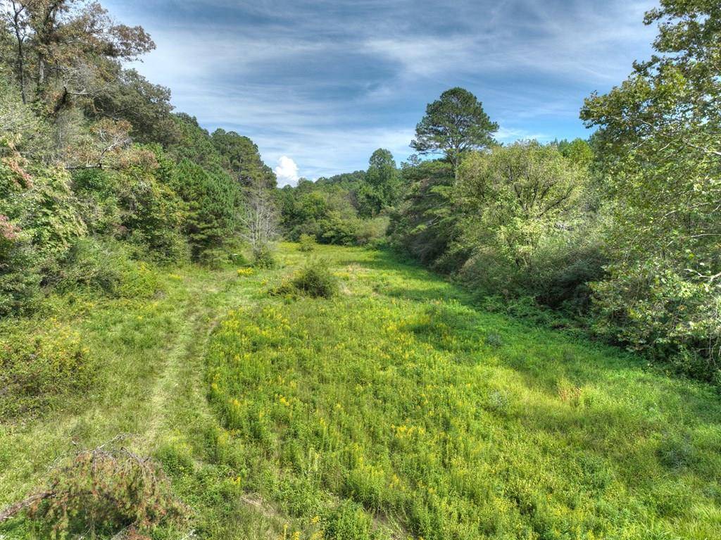 Ellijay, GA 30540,19+ AC Tails Creek Road