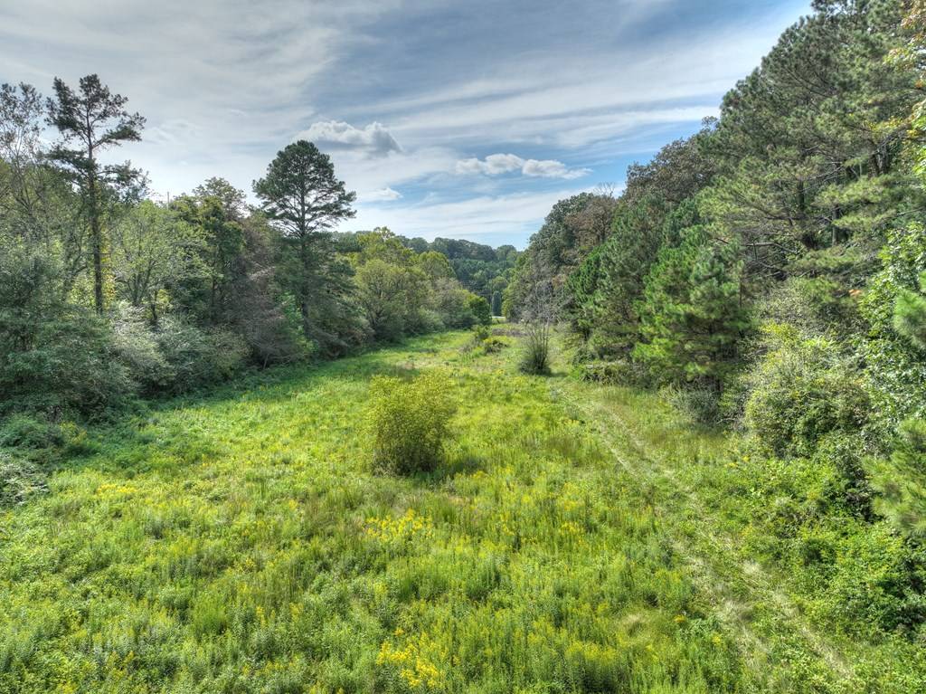 Ellijay, GA 30540,19+ AC Tails Creek Road