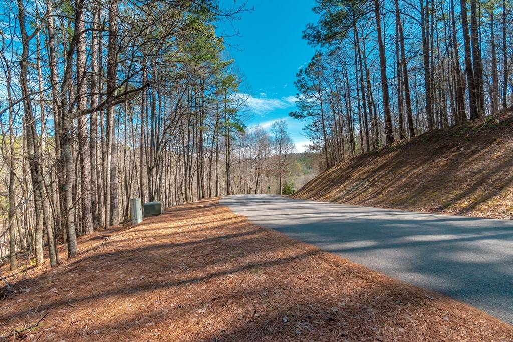 Talking Rock, GA 30175,Lot 52 Mountain Creek Hollow Drive