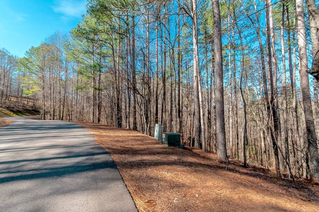 Talking Rock, GA 30175,Lot 52 Mountain Creek Hollow Drive