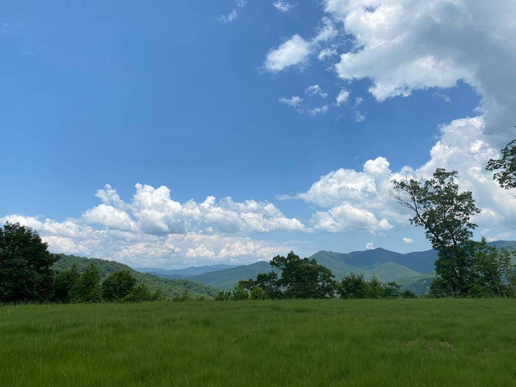 Hayesville, NC 28904,LT 74/75 Butternut Lane