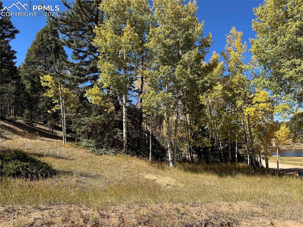 Florissant, CO 80816,244 Spring Valley LN