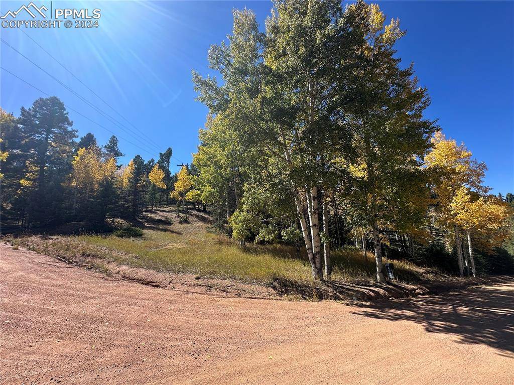 Florissant, CO 80816,244 Spring Valley LN