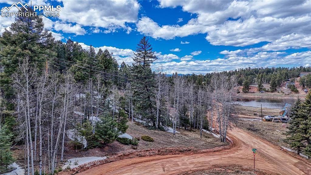 Florissant, CO 80816,244 Spring Valley LN