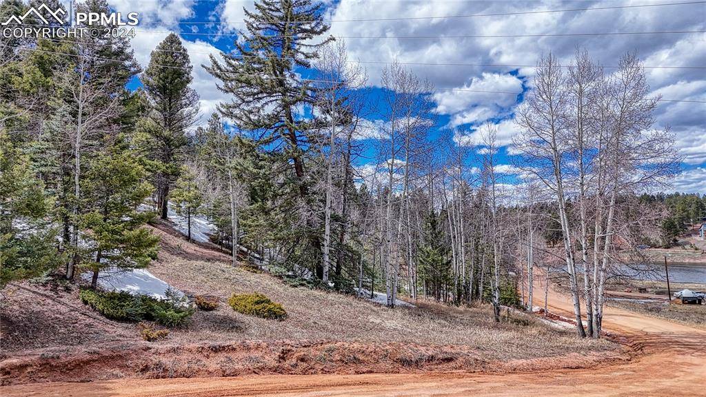 Florissant, CO 80816,244 Spring Valley LN