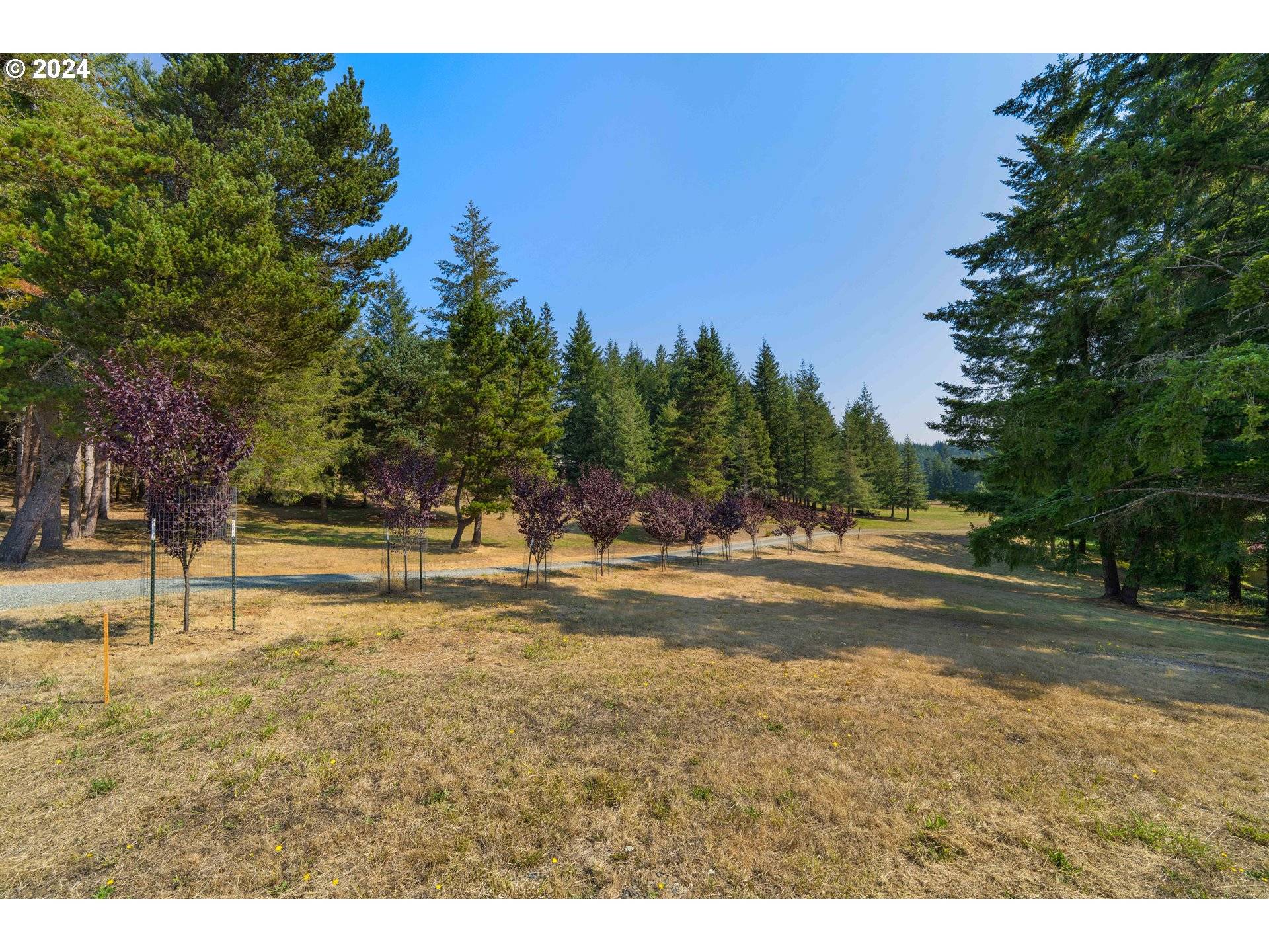 Coquille, OR 97423,55010 MAPLE HEIGHTS RD