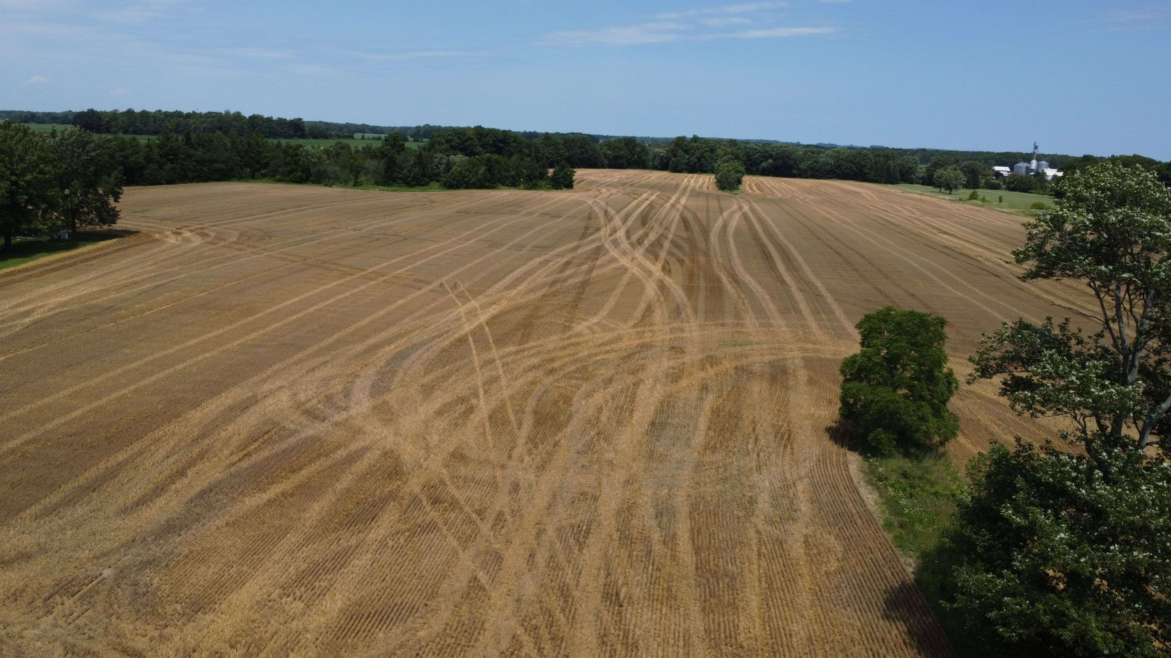 Wainfleet, ON X0X 1X1,6 Regional Road 27 N/A