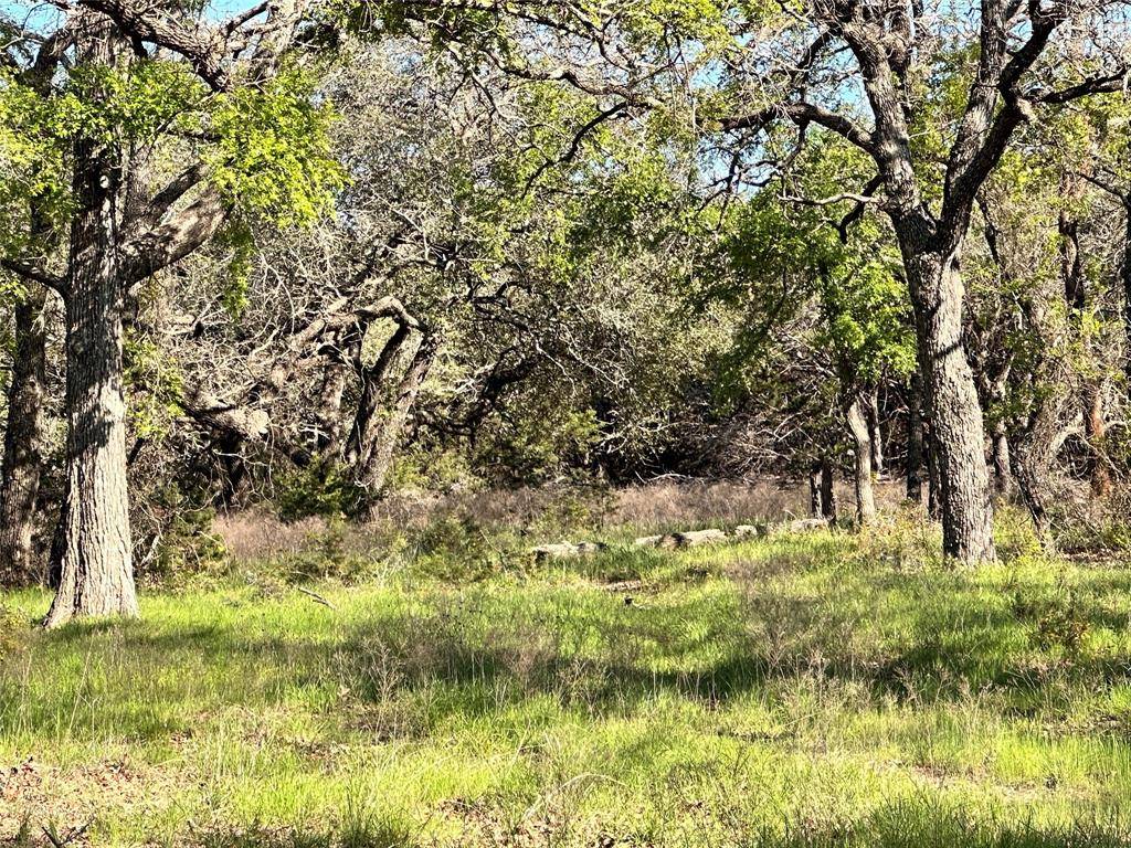 Carlton, TX 76436,0000 Lot 27 PR 1272