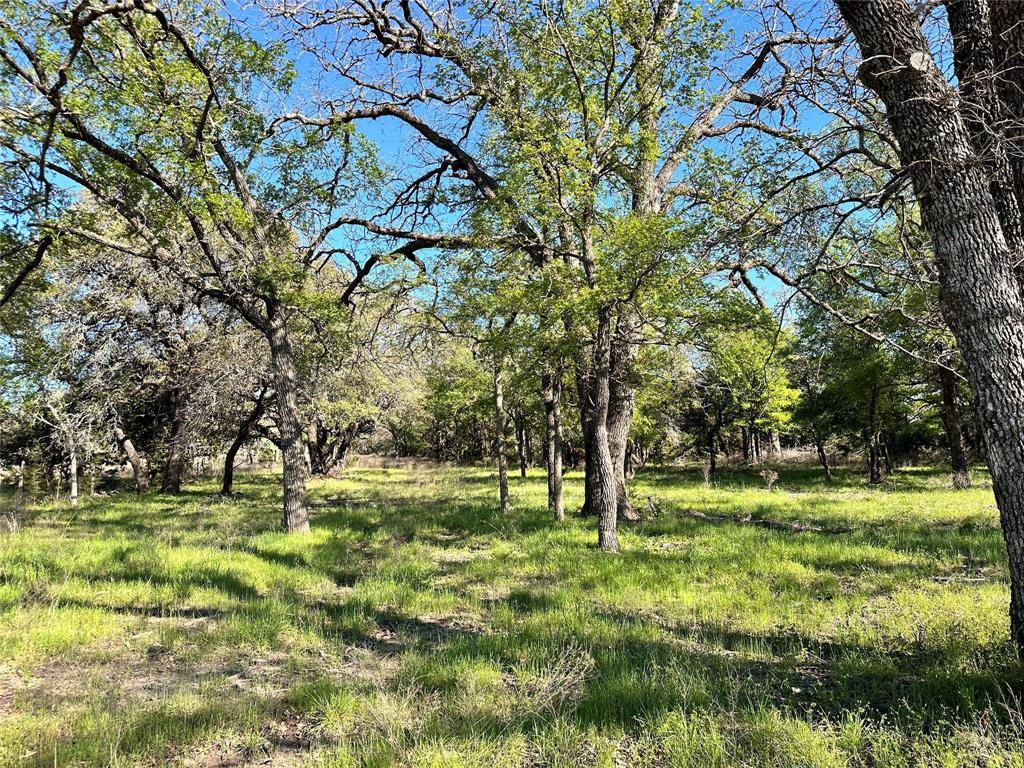 Carlton, TX 76436,0000 Lot 27 PR 1272