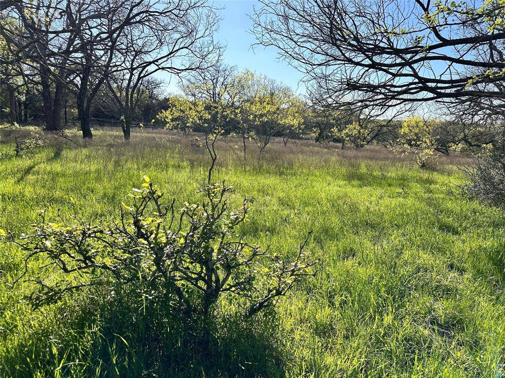 Carlton, TX 76436,0000 Lot 27 PR 1272