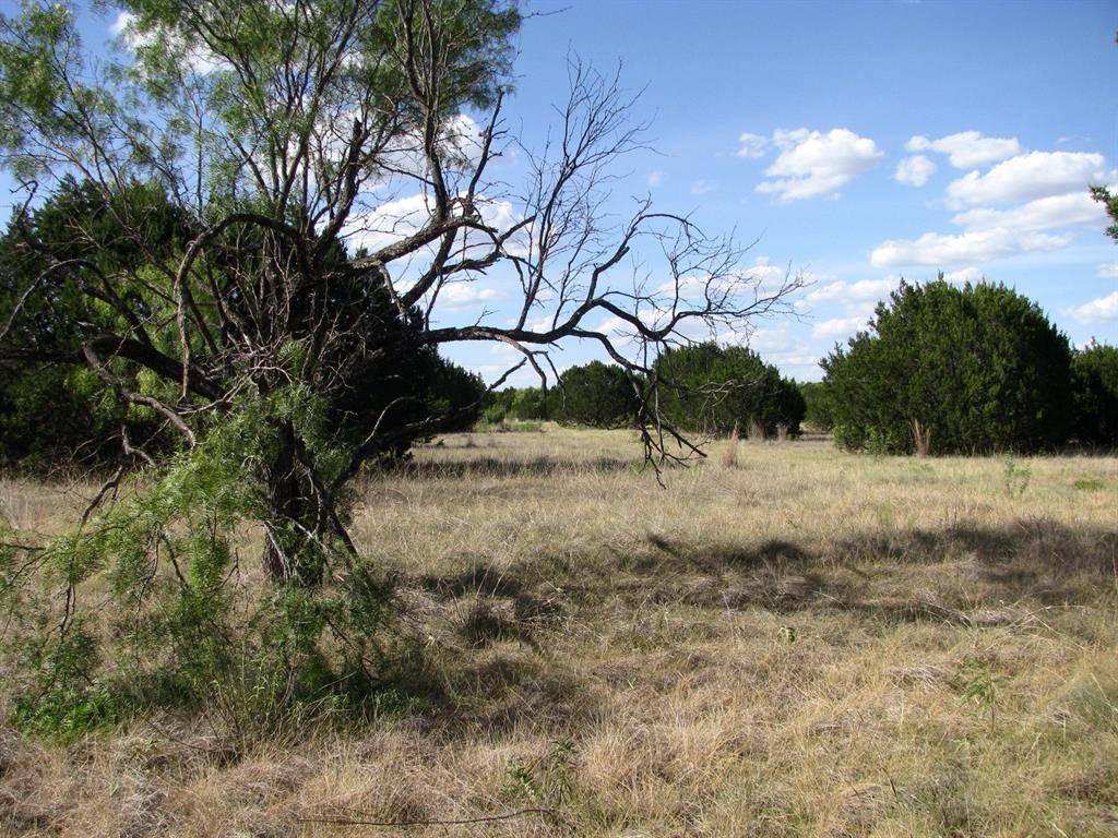 Evant, TX 76525,Lot 20 Ph 4 Pr 42126