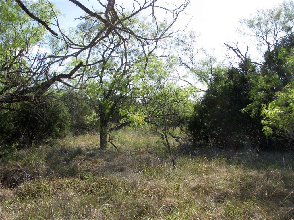 Evant, TX 76525,Lot 20 Ph 4 Pr 42126