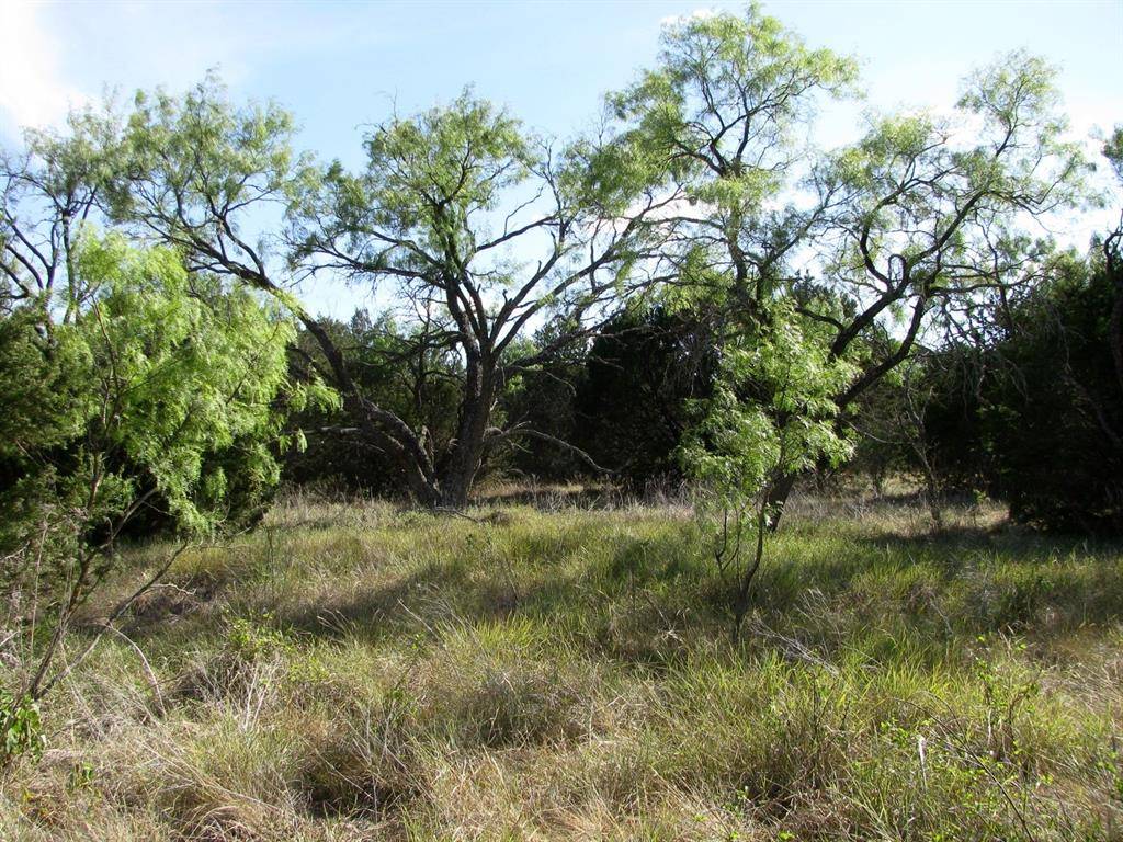 Evant, TX 76525,Lot 20 Ph 4 Pr 42126