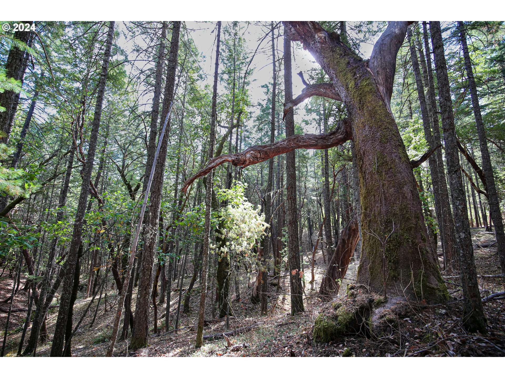 Merlin, OR 97532,QUARTZ CREEK RD