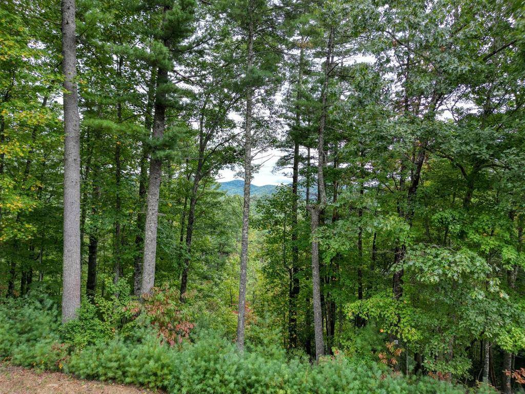 Suches, GA 30572,Lot 47 Coopers Creek Hollow