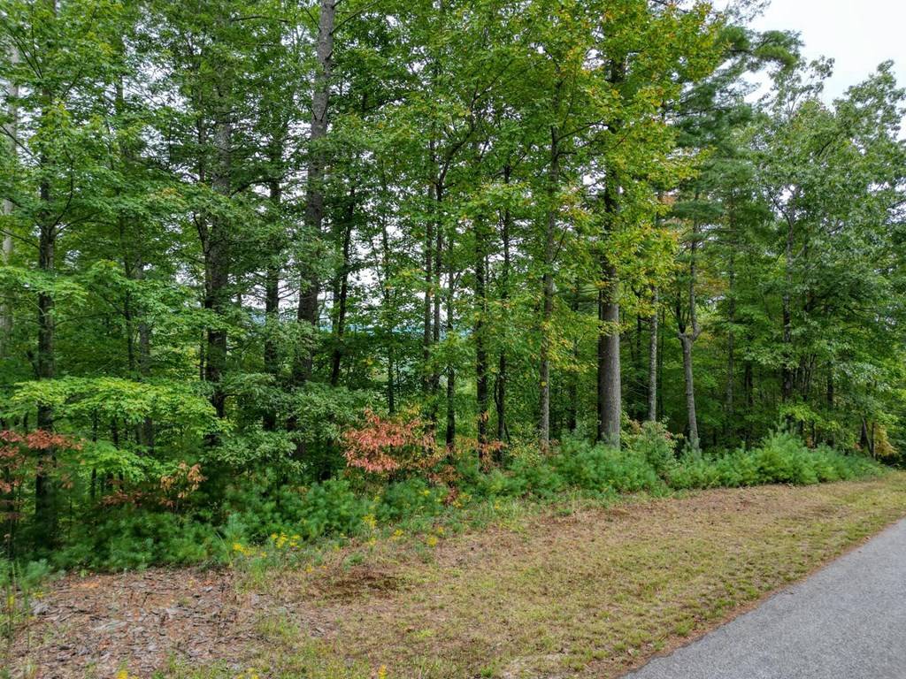 Suches, GA 30572,Lot 47 Coopers Creek Hollow