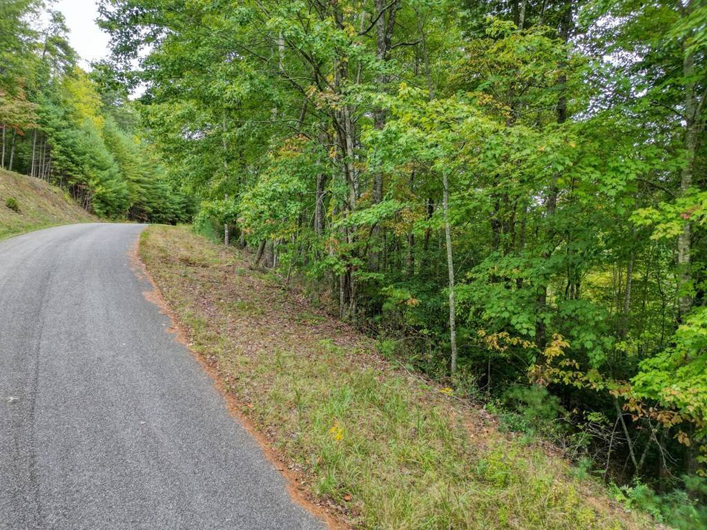 Suches, GA 30572,Lot 47 Coopers Creek Hollow