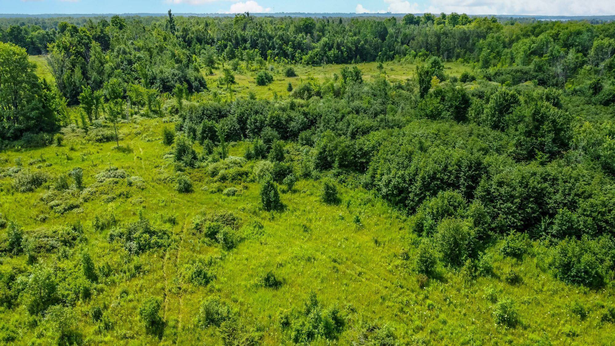 Kawartha Lakes, ON K0M 2B0,Lot 5 Concession 5 N/A