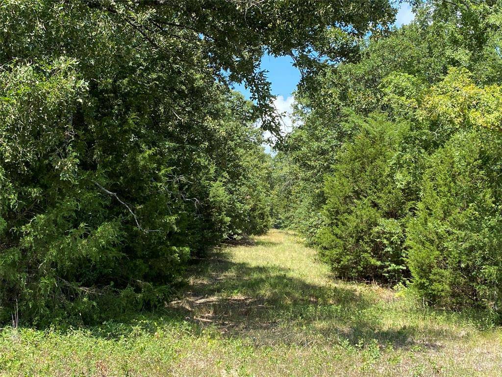 Gunter, TX 75058,325 RYKER Lane