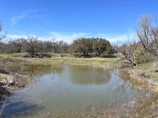 Blanket, TX 76432,4905 County Road 294