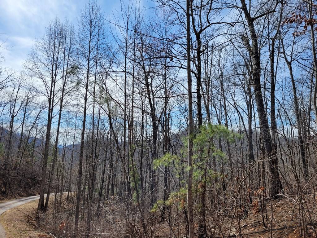 Hayesville, NC 28904,14 Flaming Ridge