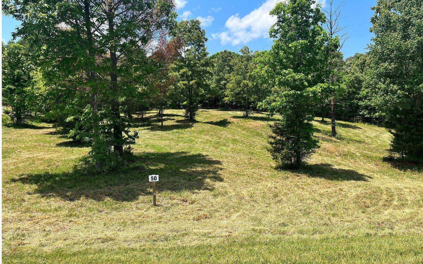 Blairsville, GA 30512,Lot 50 Northshore Drive