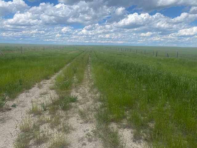 Rural Cypress County, AB T0J2N0,Range Road 82