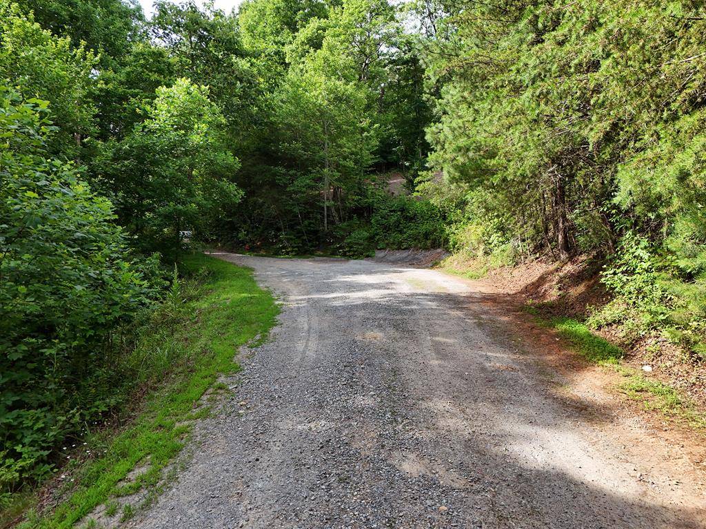 Blue Ridge, GA 30513,Lot 25 Toccoa Preserve Court