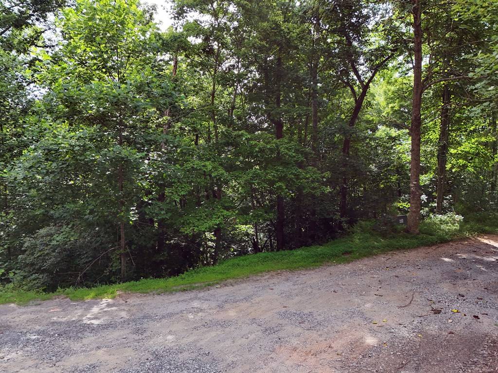 Blue Ridge, GA 30513,Lot 25 Toccoa Preserve Court