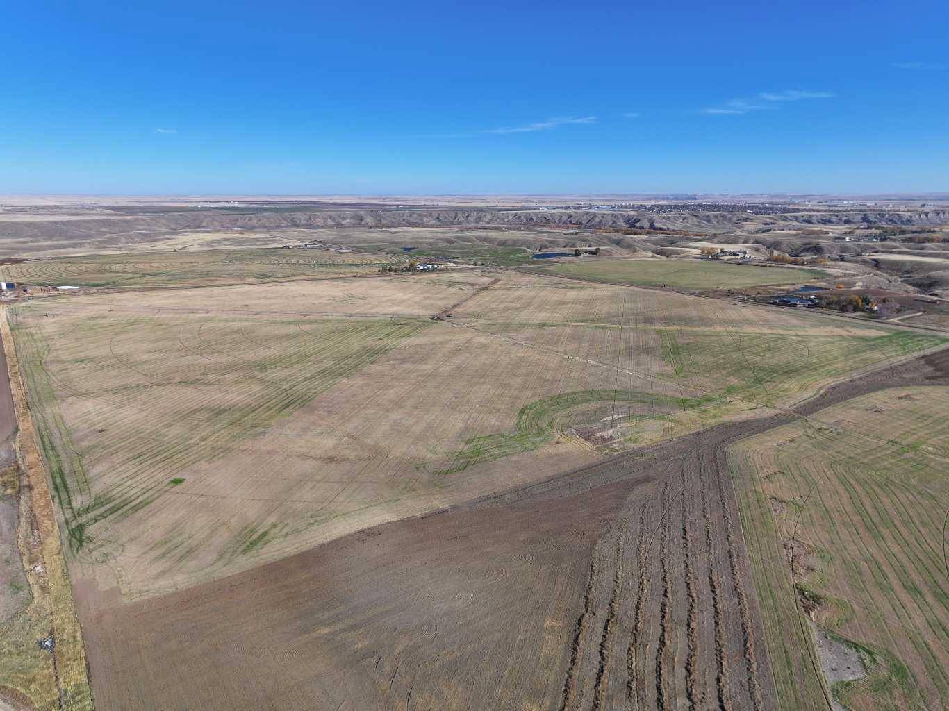 Rural Cypress County, AB T1B 4H8,on Rge Road 71