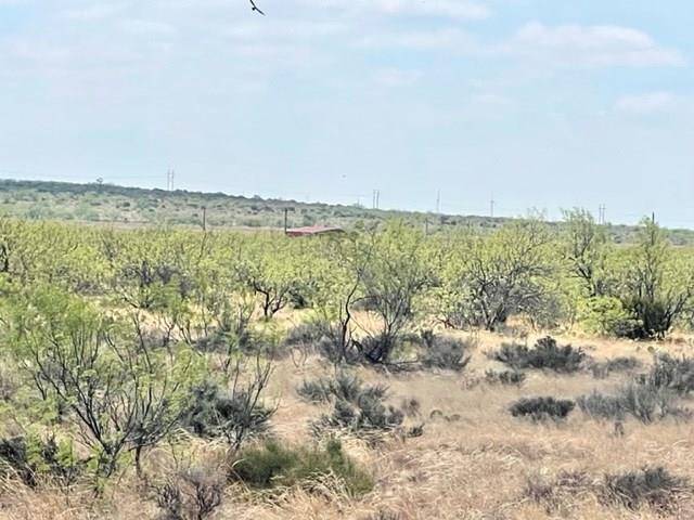 Big Spring, TX 79720,0000 Tonn Rd