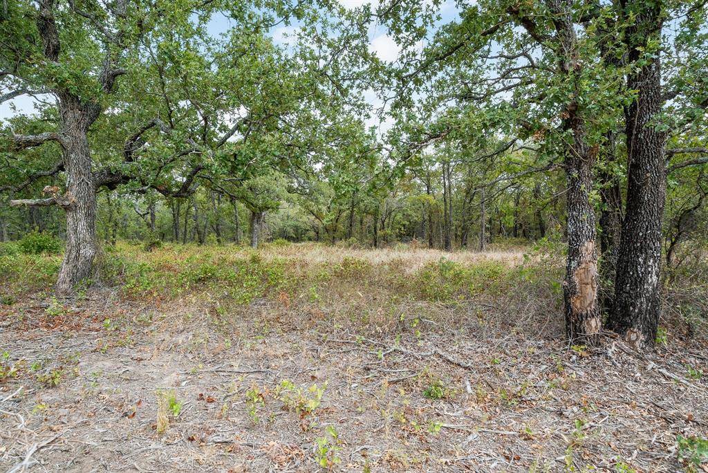 Perrin, TX 76486,Lot 13 Double B Ranch Road S