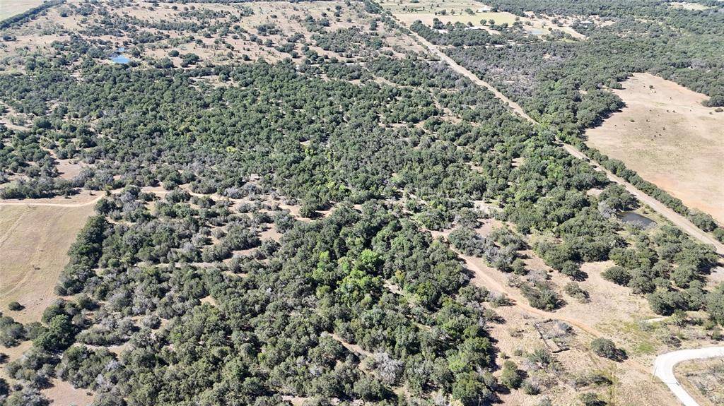 Palo Pinto, TX 76484,Lot 110 Davenport Road